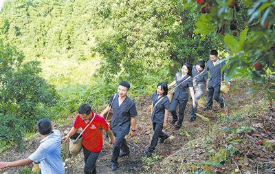 法院党员志愿服务队在村民的带领下上山摘杨梅。