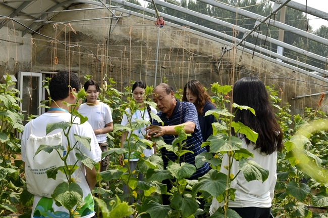 大学生走进北京平谷开展暑期乡村实践