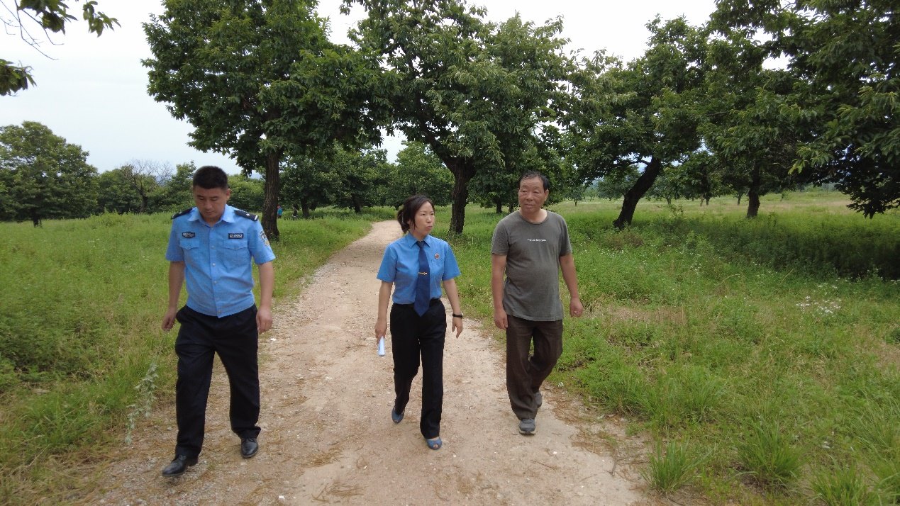 惠琳琳一行向当地村民了解板栗古树群保护情况。人民网 党童摄