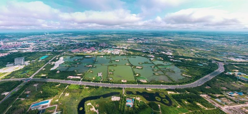 大庆油田果午湖自主贡献型生物多样性保护地全景。受访者供图