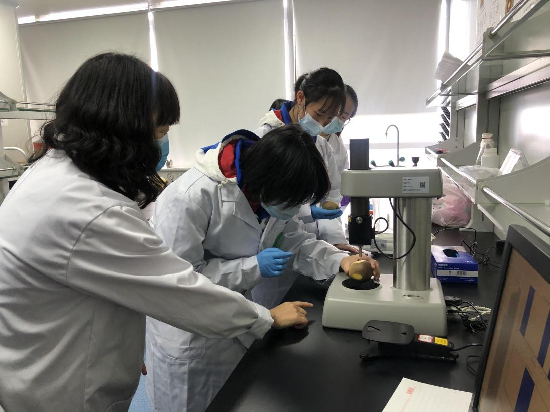 中国—新西兰猕猴桃“一带一路”联合实验已建成全国首个专注于猕猴桃全产业链技术创新的开放式实验室。受访者供图