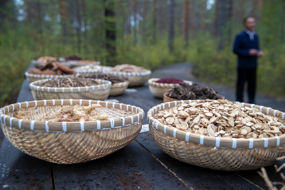 这是北极村一景区展出的林下产品（2023年9月6日摄）。