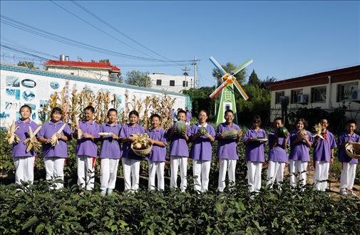 北京市密云区西田各庄中学丰收节活动。北京市教委供图