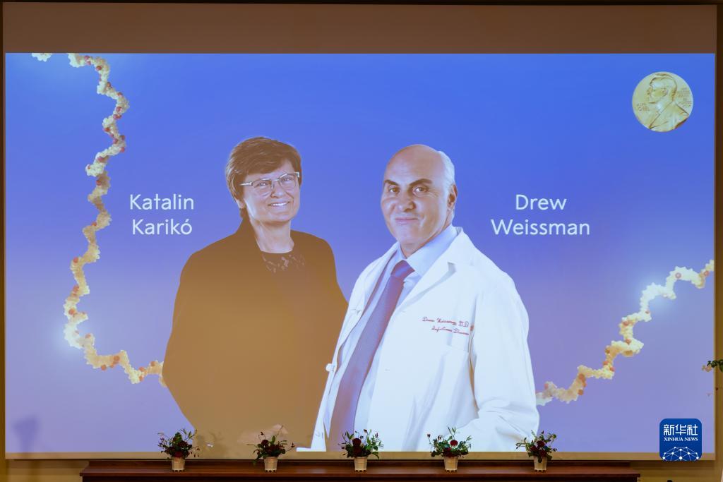 10月2日，在瑞典斯德哥尔摩举行的2023年诺贝尔生理学或医学奖公布现场，屏幕显示奖项得主卡塔琳·考里科（左）和德鲁·韦斯曼的照片。新华社发（魏学超摄）