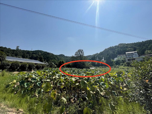 曾经的圣水园所在地。 人民网记者 杨乔摄