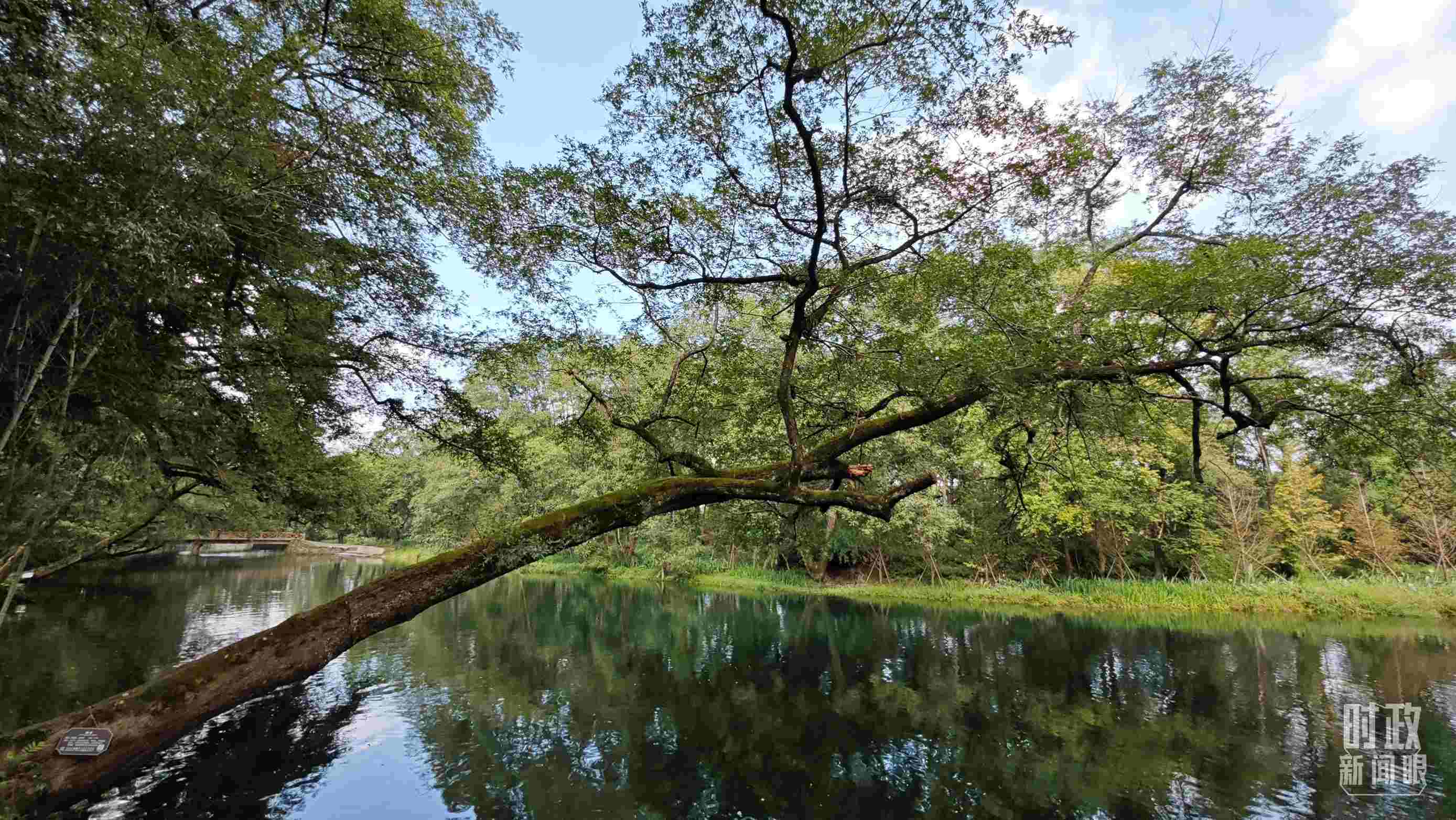 △饶河源国家湿地公园。（总台央视记者郁振一拍摄）