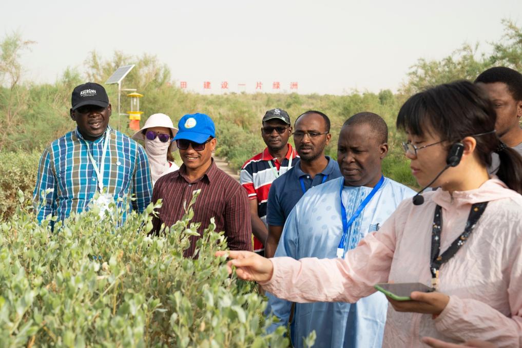 2023年6月13日，在塔克拉玛干沙漠腹地塔中植物园，中方技术人员向非洲学员介绍荒漠植物。新华社记者周生斌 摄