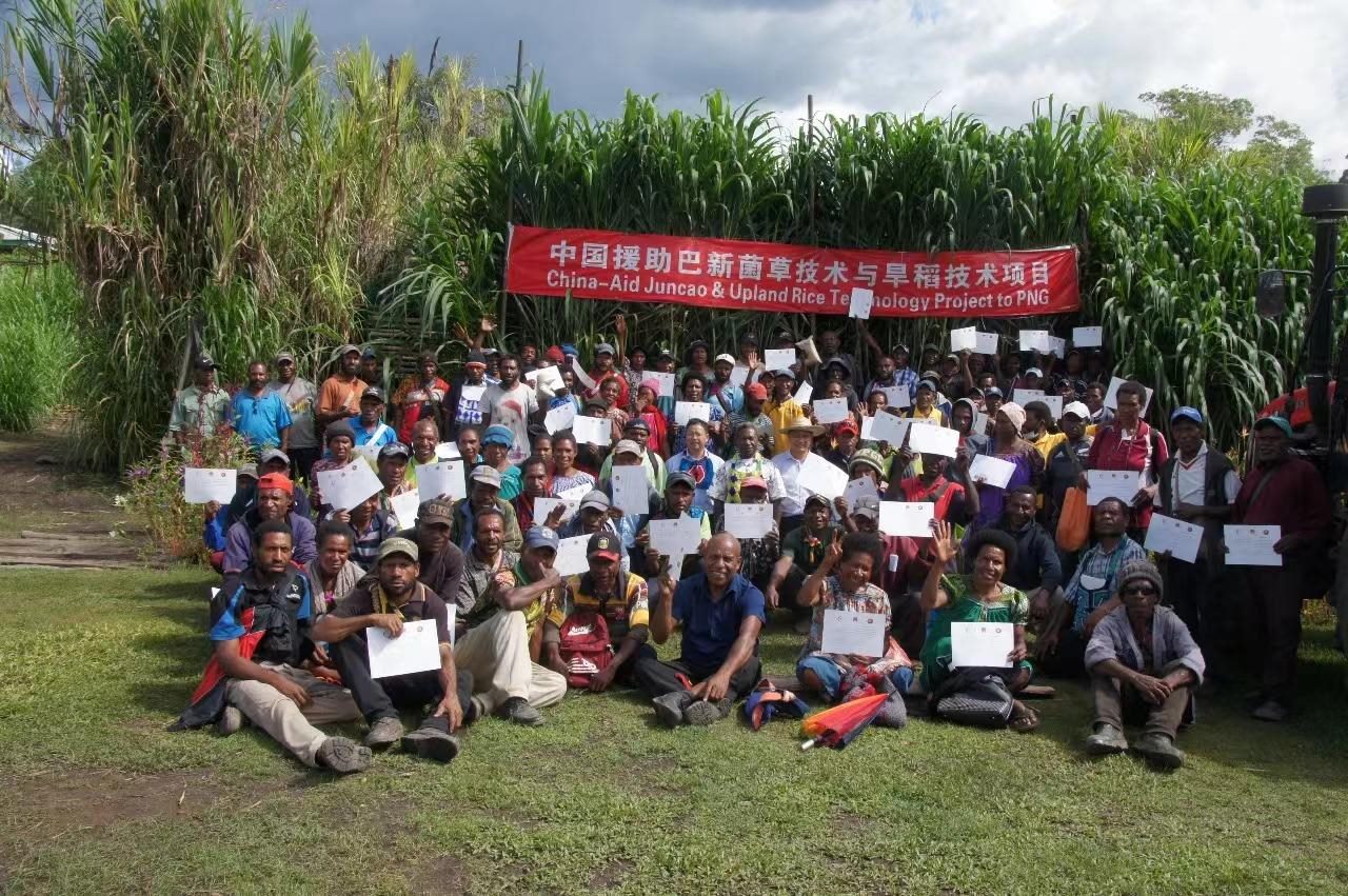 △2020年12月17日，在巴布亚新几内亚东高地省，参加中国援助巴新菌草和旱稻技术项目第9期培训班的当地民众展示结业证书。