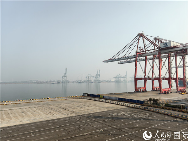 天津港北疆港区C段智能化集装箱码头。人民网记者 符园园摄
