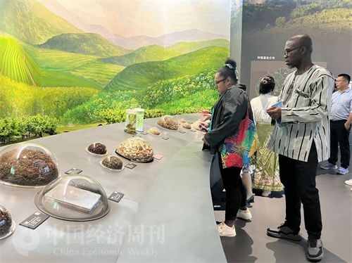  （在中国药都中医药博物馆，外媒记者了解中医药发展史。中国经济周刊记者 郭志强 摄）