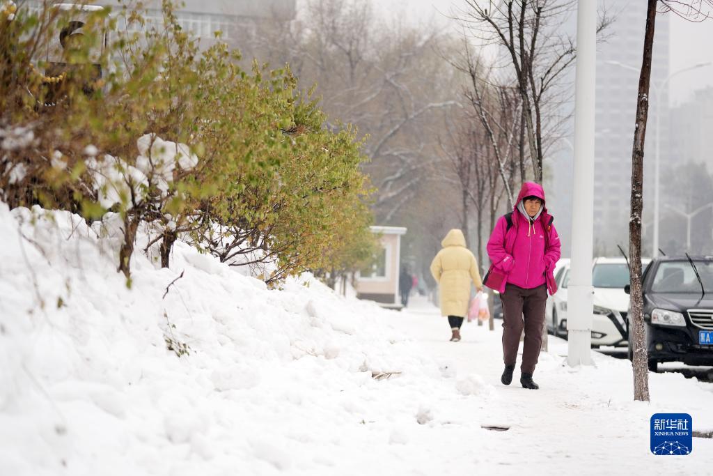 11月16日，市民在雪中前行。当日，黑龙江哈尔滨市迎来雨雪天气。新华社记者 王建威 摄