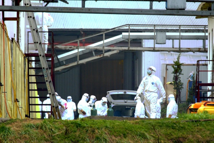 2004年2月29日，日本防疫人员在发生禽流感的京都府丹波町的养鸡场内准备扑杀活鸡。新华社记者冯武勇摄