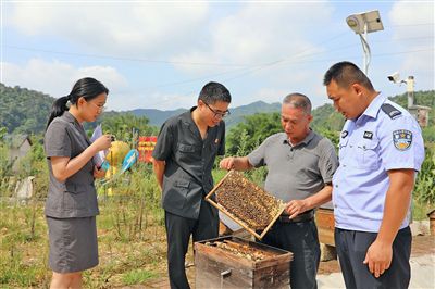  图②：蒙山法院黄村法庭法官深入蜂蜜合作社，实地了解蜂农需求。