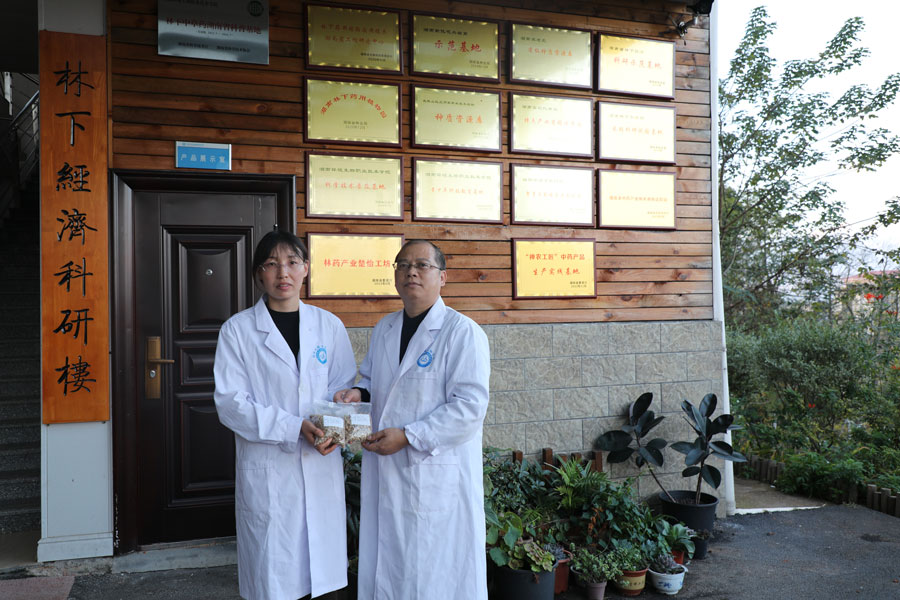 载“育”归来的黑老虎种子回到“林下药用植物应用技术湖南省工程研究中心”