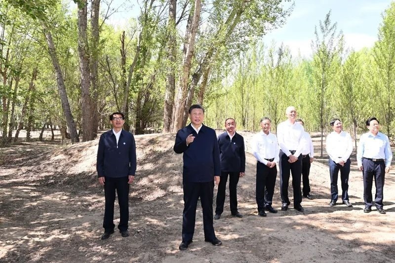 △2023年6月6日，习近平总书记在内蒙古巴彦淖尔市临河区国营新华林场考察。