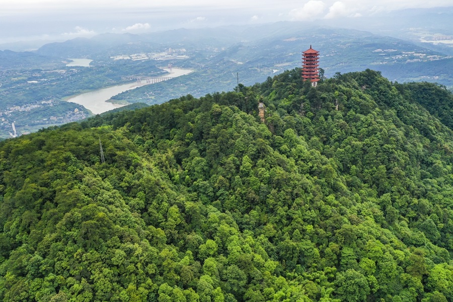 这是2022年6月4日拍摄的重庆缙云山风光（无人机照片）。新华社记者王全超摄