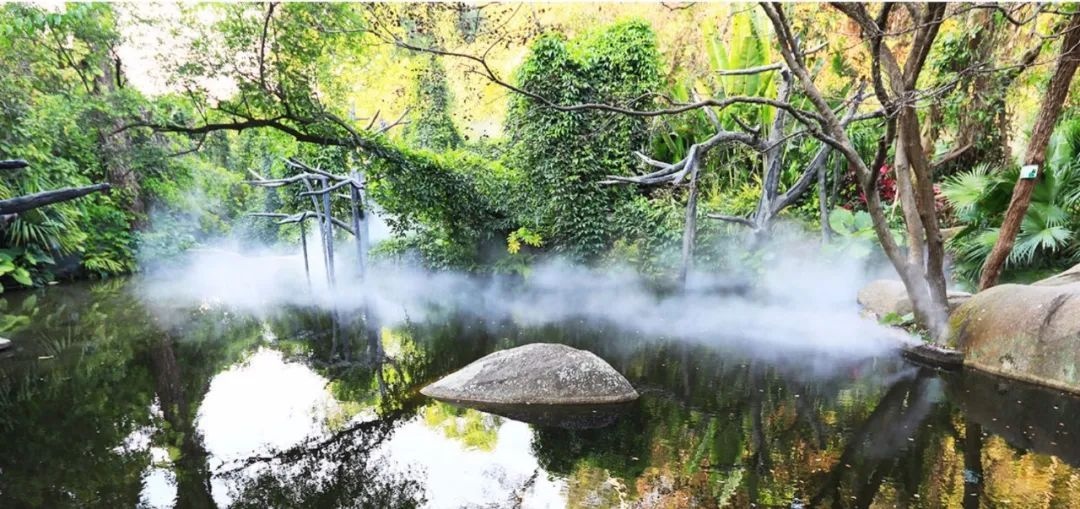 △鼓浪屿-万石山风景名胜区重要组成部分厦门园林植物园热门景点“雨林世界”。