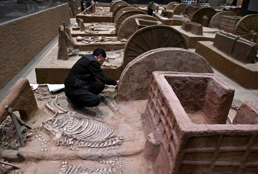 工作人员在殷墟博物馆新馆的展厅内修复车马遗迹（2月23日摄）。