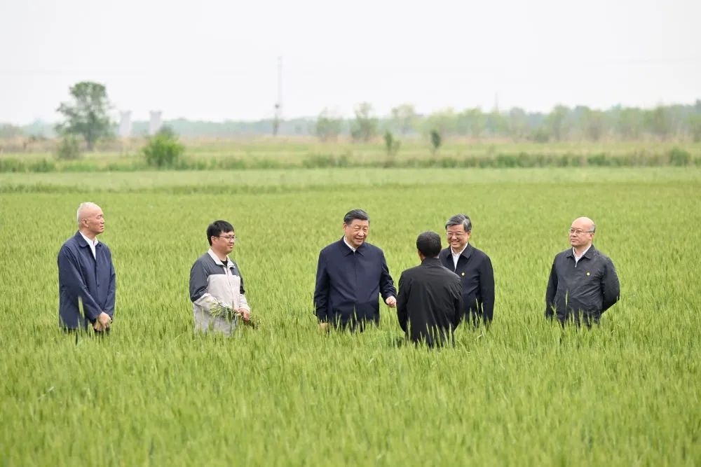 2023年5月11日上午，习近平在河北省沧州市黄骅市旧城镇仙庄片区旱碱地麦田考察时，同种植户、农技专家亲切交流。新华社记者 殷博古 摄