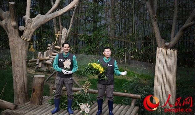 熊猫饲养员姜哲远和宋永宽向媒体介绍为“福宝”准备的送别礼物。人民网 李帆摄