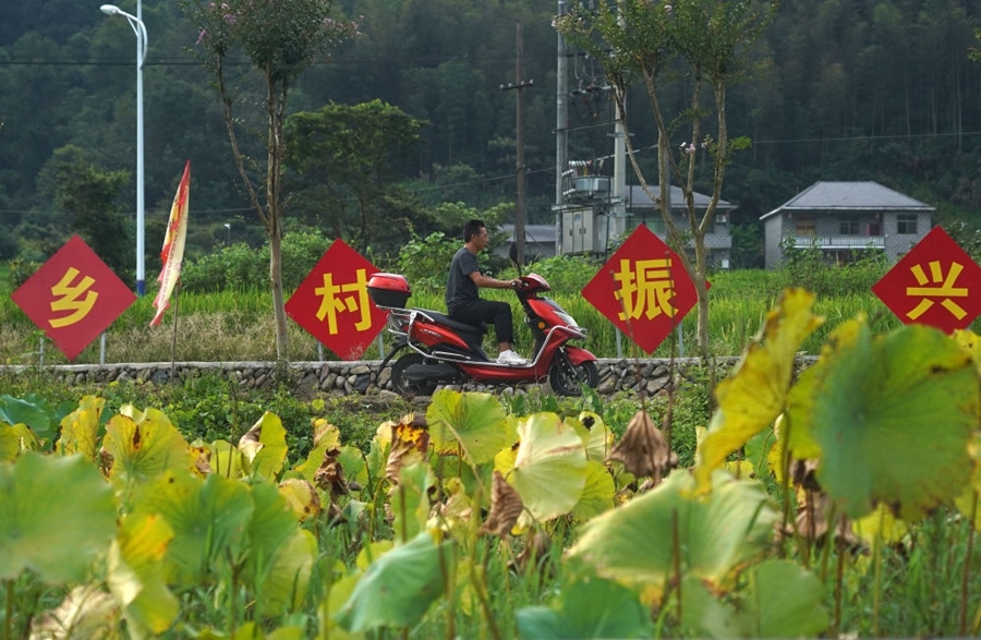 2023年8月24日拍摄的江西省靖安县璪都镇港背村一景。该村在当地政府支持下，修古建，建民宿，搞开发，引进竹筏漂流、观光采摘、农耕体验、森林研学等多种旅游业态，建成新田园生态度假小镇，发展乡村旅游，走上致富路。
