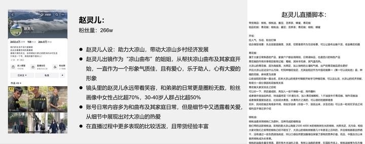 图为幕后团队为“赵灵儿”定制的“人设”、直播脚本。(昭觉县公安局 供图)