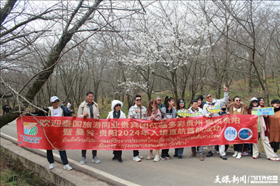 首个泰国入境旅游团打卡贵安樱花园。