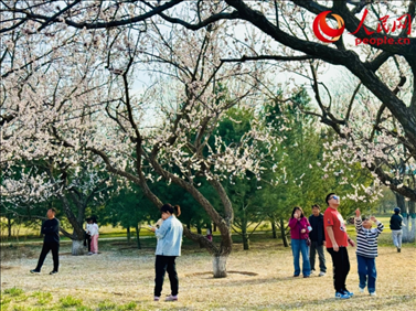 游客在北京长阳公园赏花。人民网记者 刘微摄