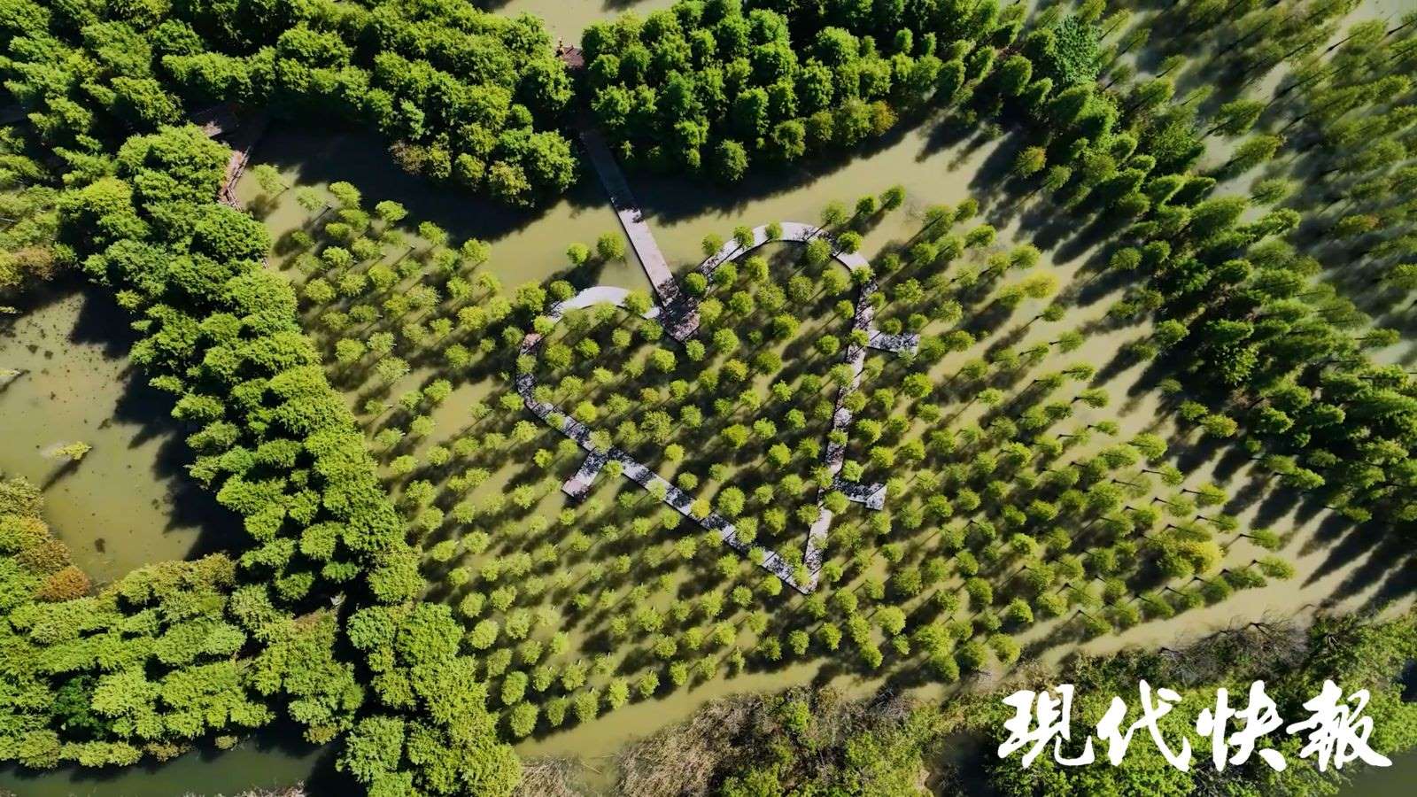 洪泽湖湿地国家级自然保护区