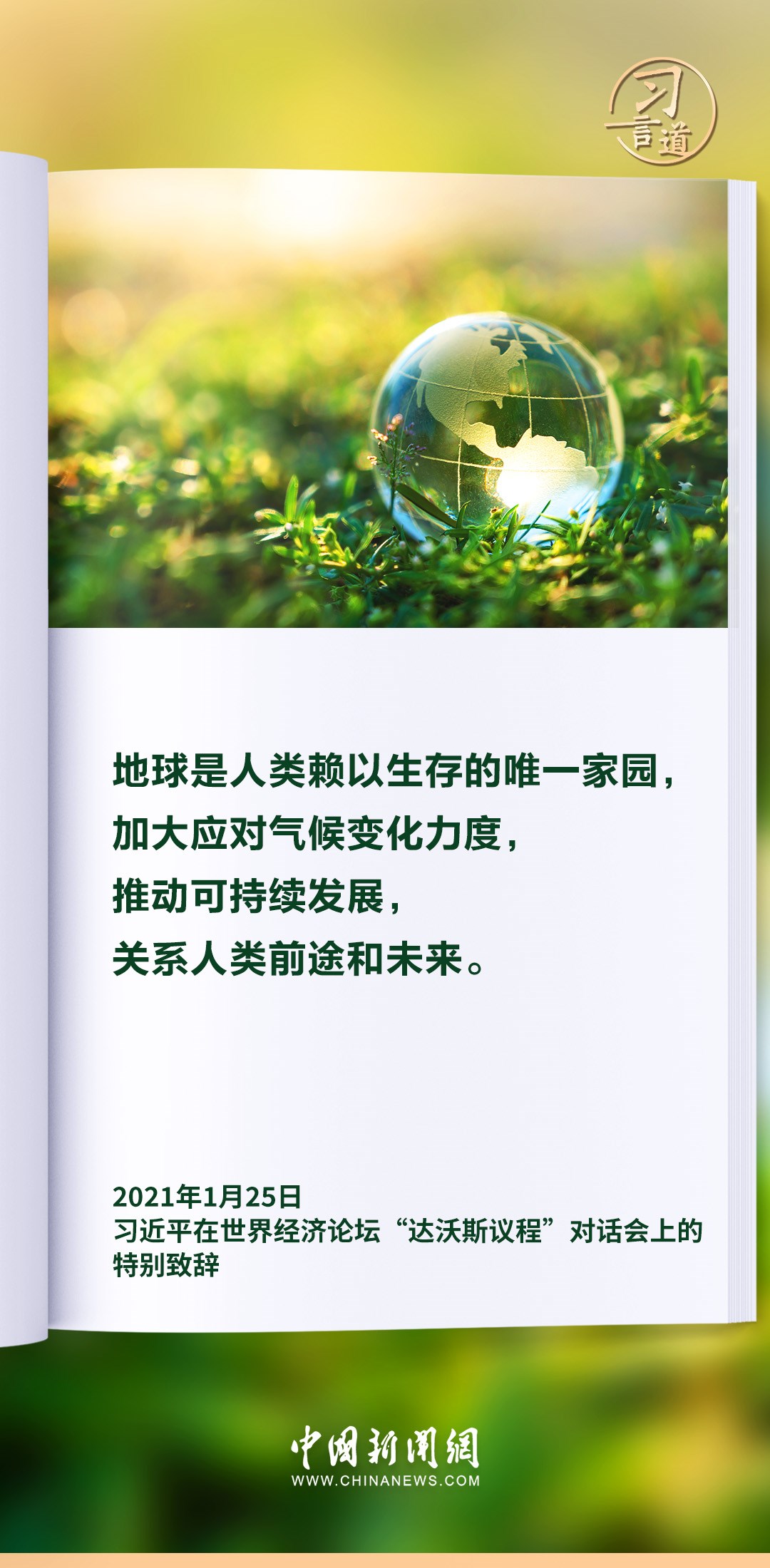 【和谐共生】习言道｜生态兴则文明兴