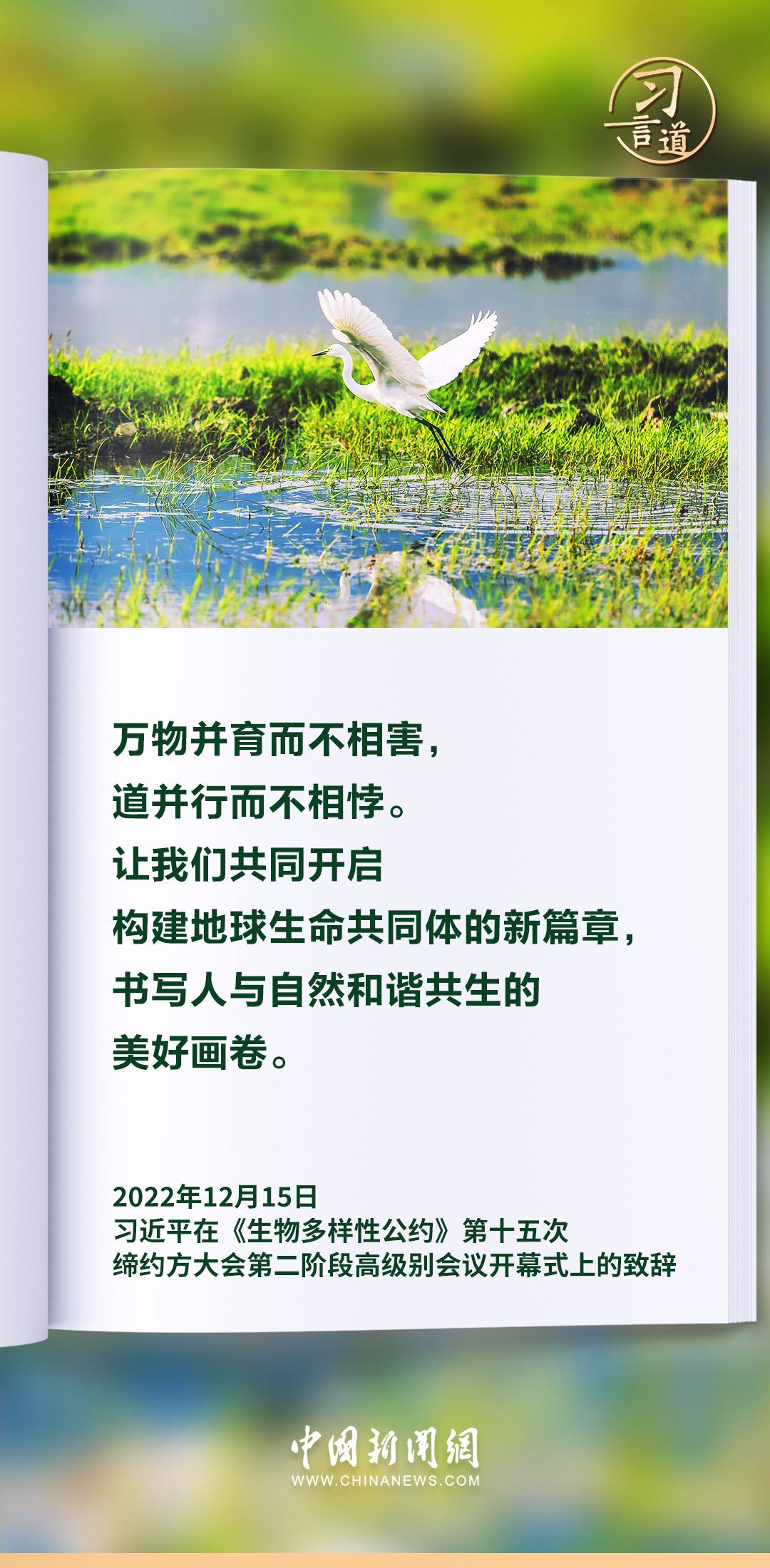 【和谐共生】习言道｜生态兴则文明兴