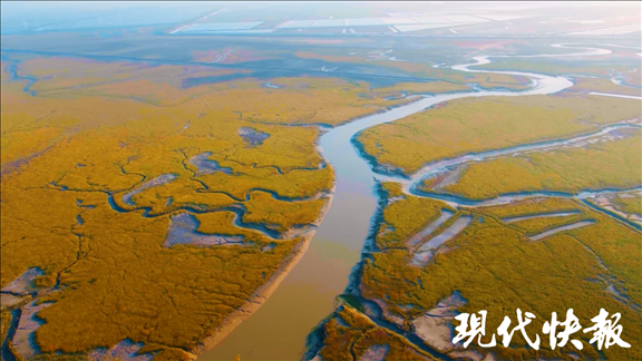 黄海之滨
