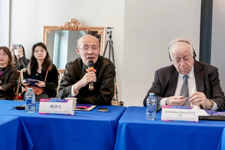中国传媒大学文化发展与传播研究院院长熊澄宇教授发言（图片：中国传媒大学