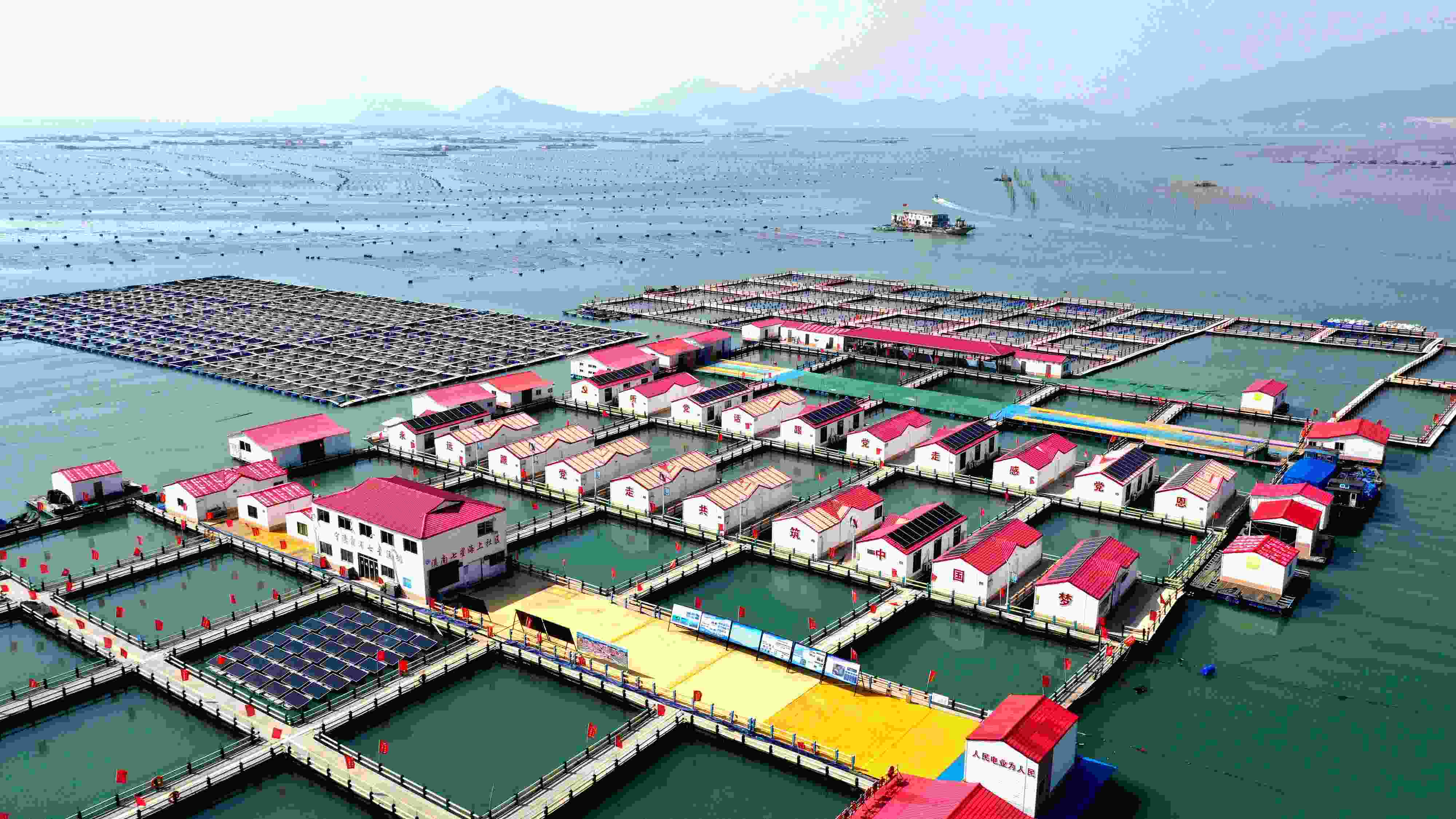 2024年3月20日，福建省宁德市，霞浦县溪南镇七星村渔排养殖示范区，渔民驾驶养殖船进行海参养殖作业。