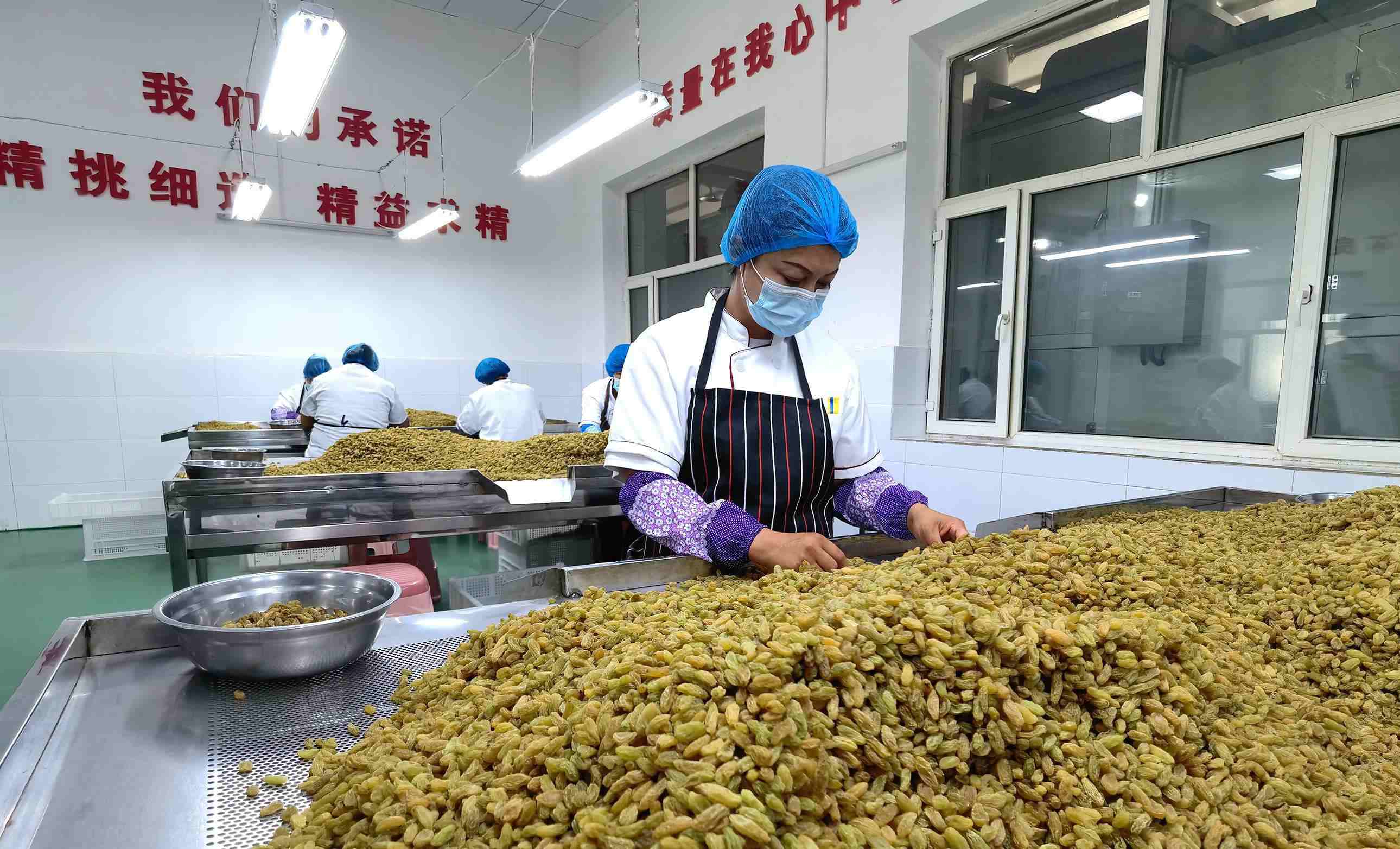新疆吐鲁番市高昌区亚尔镇新城西门村，村民们在分拣葡萄干。