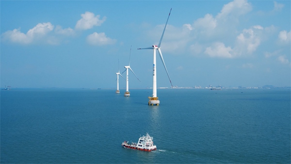 福建兴化湾海上风电场。受访者供图