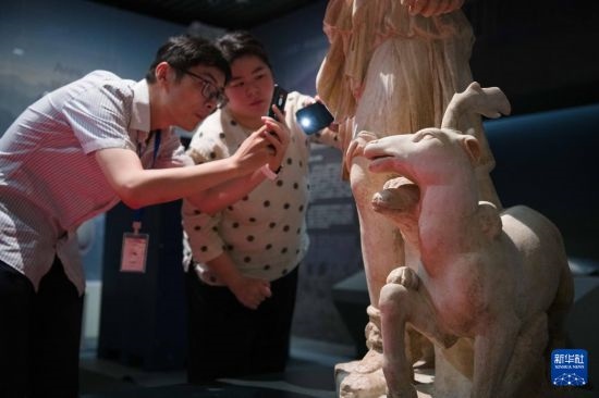 7月2日,安徽博物院工作人员在拍摄开箱后的古希腊文物。新华社记者 张端 摄