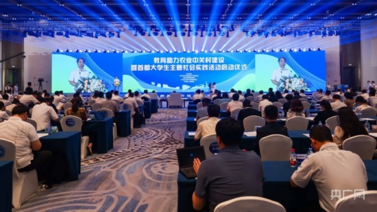 活动现场。主办方供图 