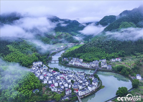 2024年6月19日，浙江省杭州市淳安县枫树岭镇下姜村，雨后云雾缭绕。
