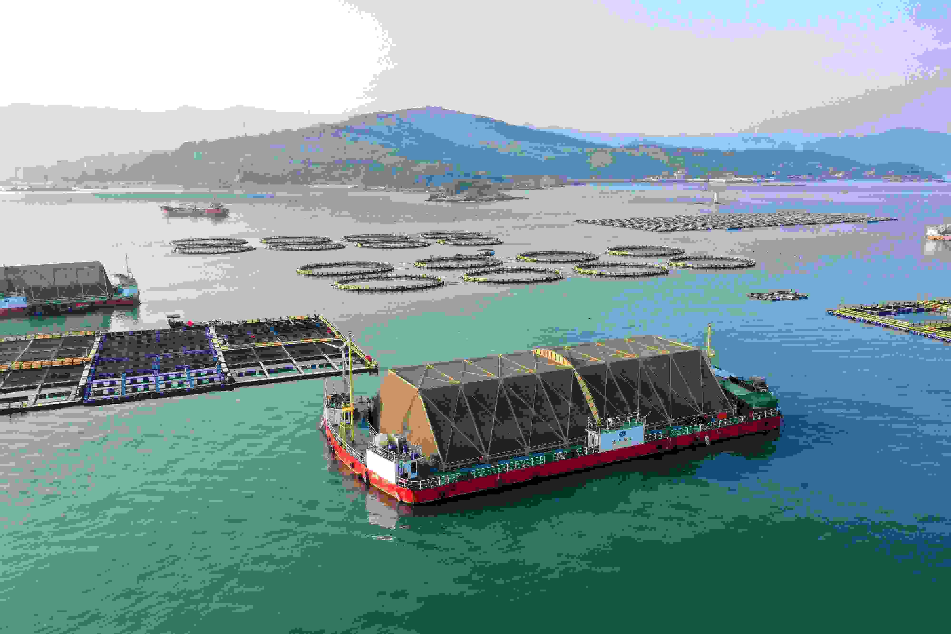 2024年9月10日拍摄的福建省福州市连江县定海湾海域的现代化“海上粮仓”。