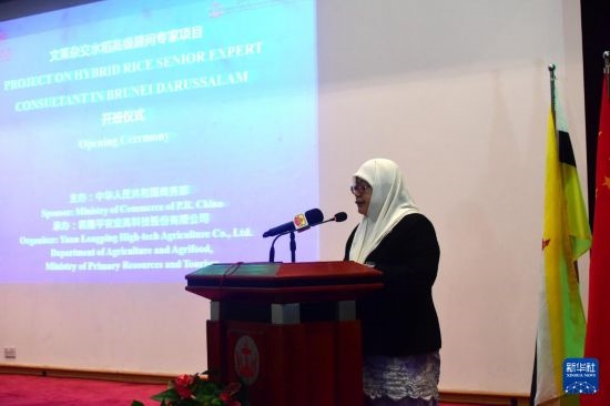 10月26日,文莱初级资源与旅游部常任秘书图蒂亚蒂在斯里巴加湾市出席中国与文莱杂交水稻高级专家顾问项目启动仪式。新华社记者 李萌 摄