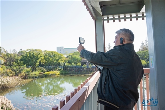 参观白鹭园。环球网供图