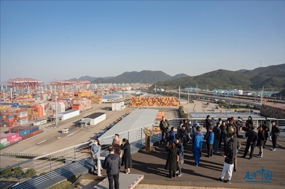 媒体团走进宁波舟山港北仑港区。环球网供图