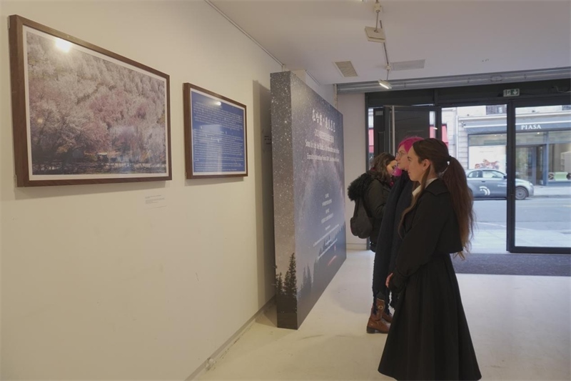 法国观众现场观展(主办方供图)