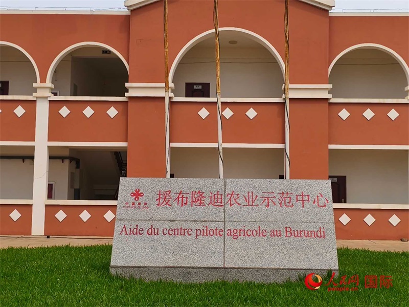 援布隆迪农业示范中心。人民网记者 黄培昭摄