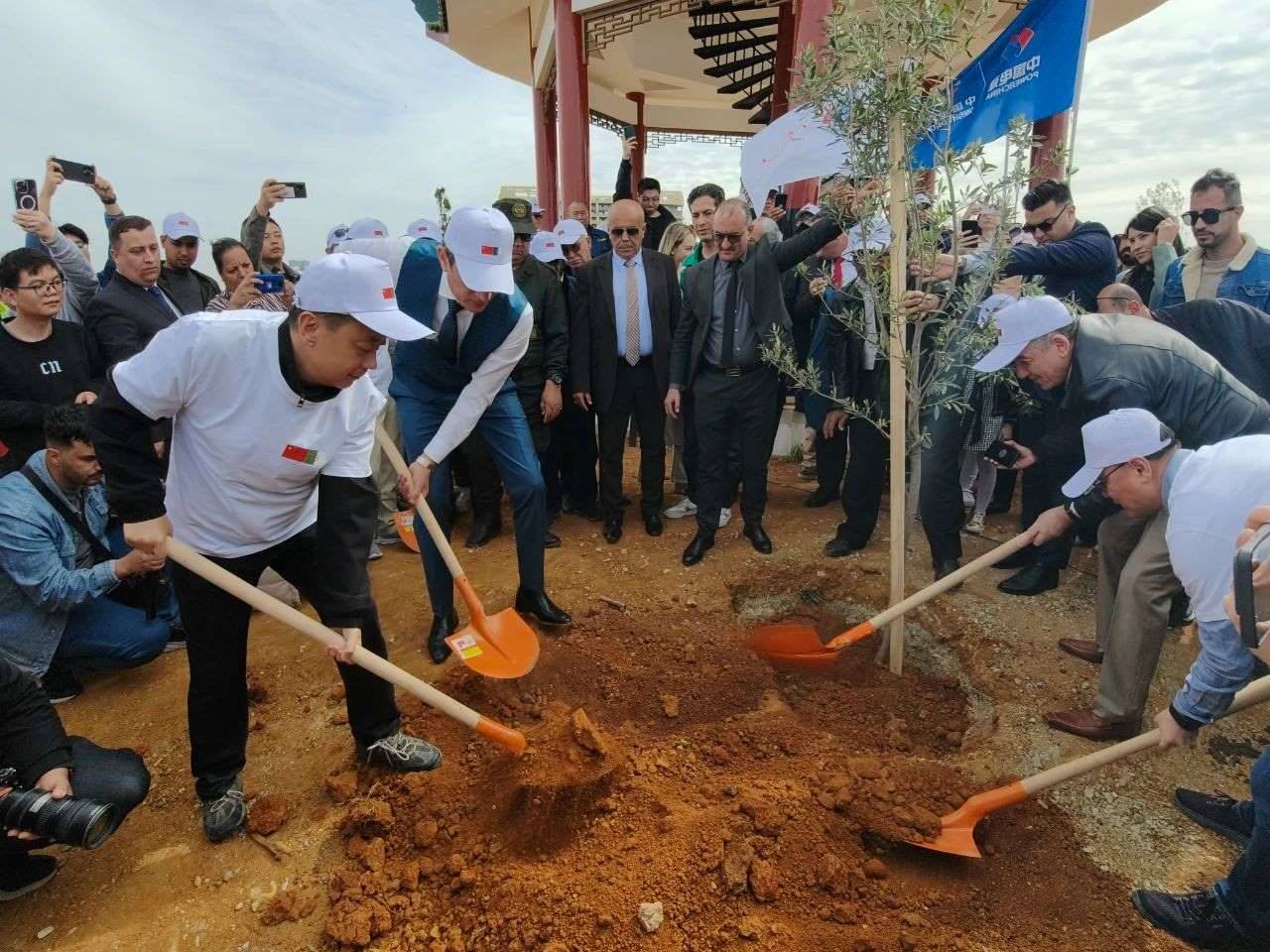 植树活动现场。中国驻阿尔及利亚大使馆供图