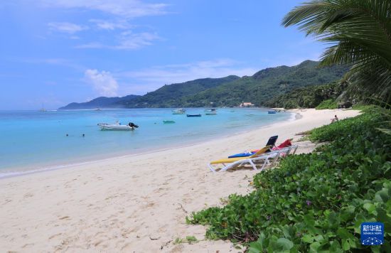 3月19日，游客在塞舌尔马埃岛海边休闲。新华社记者 董江辉 摄