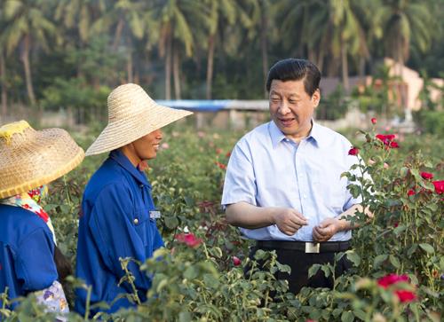 △2013年4月9日，习近平总书记在海南亚龙湾兰德玫瑰风情产业园向花农了解玫瑰种植管理技术。