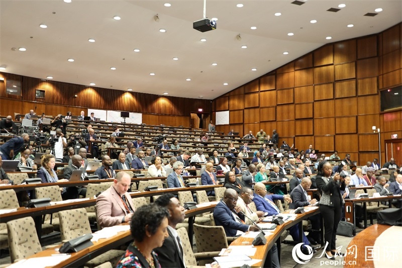 图为对话会现场。人民网记者 戴楷然摄