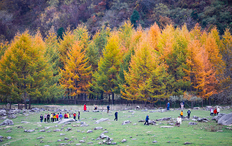 2023年10月27日，深秋时节的陕西秦岭太子岭五彩斑斓，进入最佳观赏期。